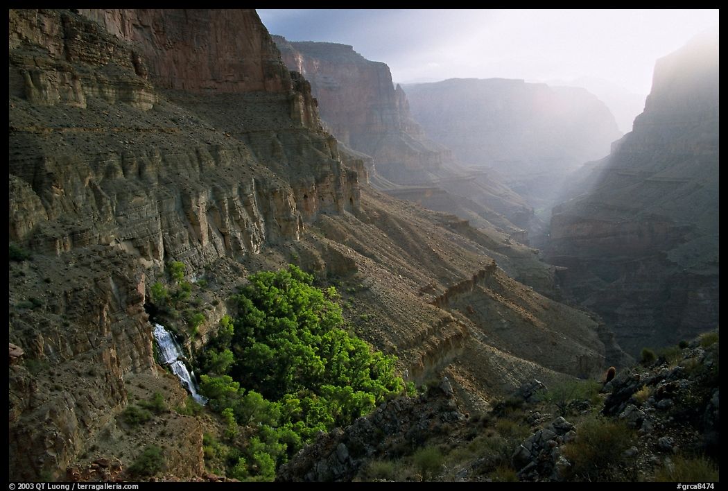 Thunder Spring and Tapeats Creek, morning. Grand Canyon  National Park, Arizona, USA.
