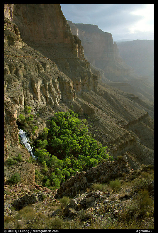 Thunder Spring and Tapeats Creek, morning. Grand Canyon  National Park, Arizona, USA.
