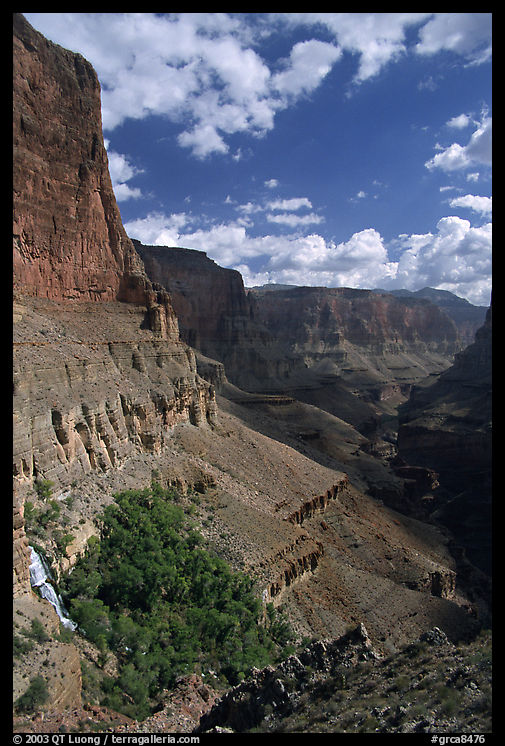 Red wall, Thunder Spring and Tapeats Creek, morning. Grand Canyon  National Park, Arizona, USA.