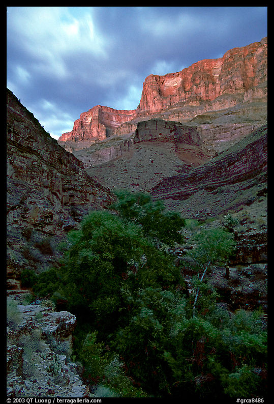 Tapeats Creek, dusk. Grand Canyon  National Park, Arizona, USA.
