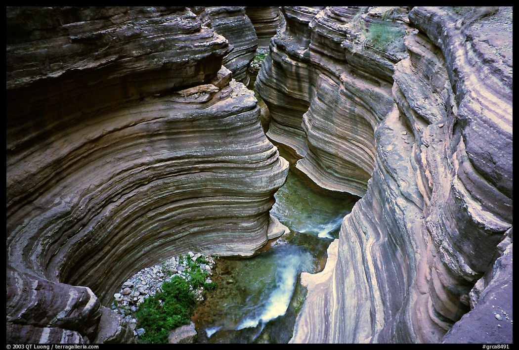 Narrows of Deer Creek. Grand Canyon  National Park, Arizona, USA.