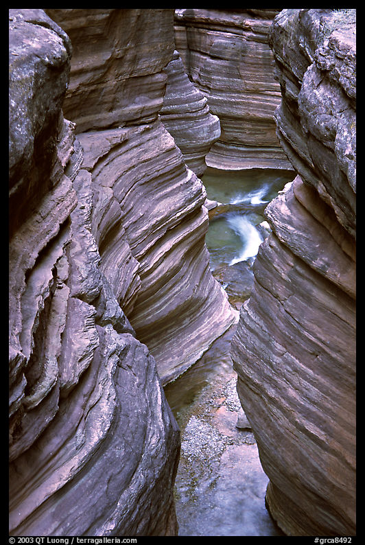 Slot Canyon carved by Deer Creek. Grand Canyon  National Park, Arizona, USA.
