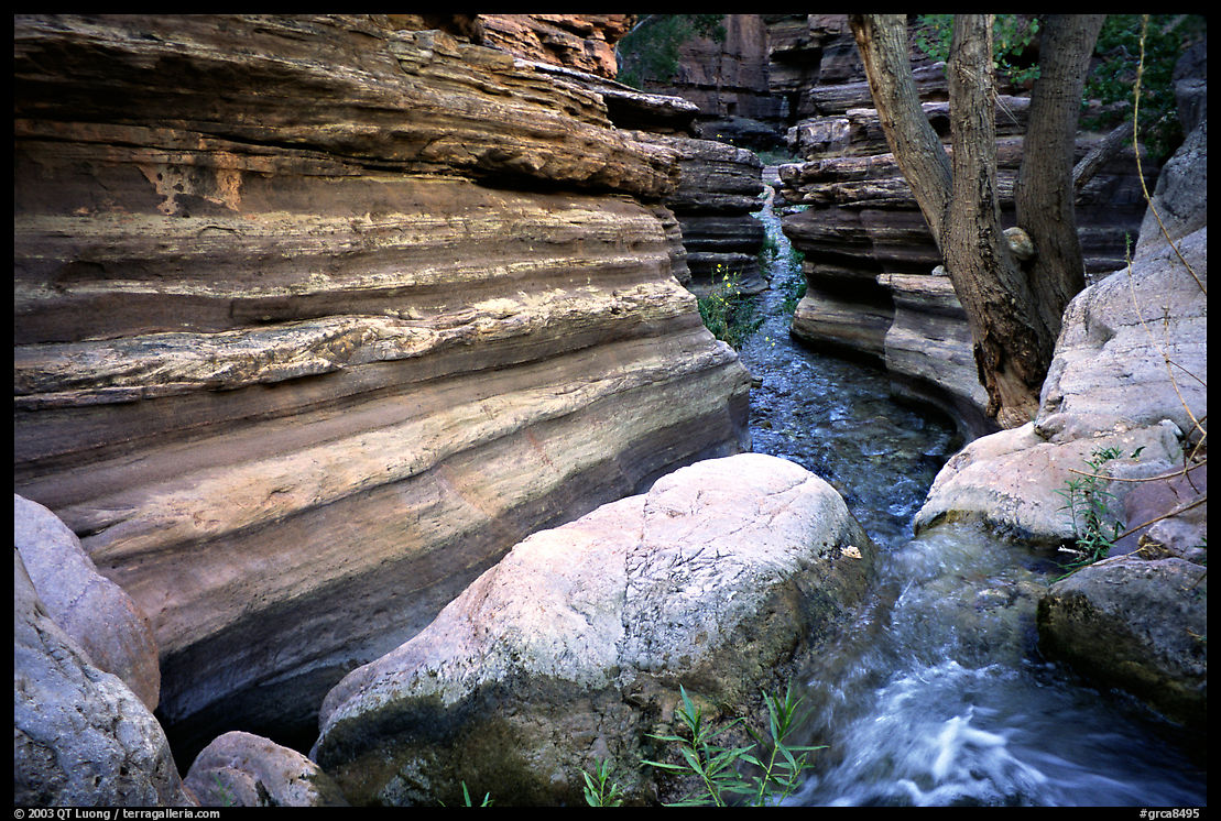 Entrance of Deer Creek Narrows. Grand Canyon  National Park, Arizona, USA.