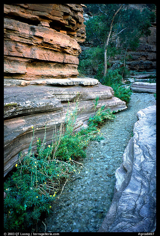 Stream in Deer Creek Narrows. Grand Canyon  National Park, Arizona, USA.