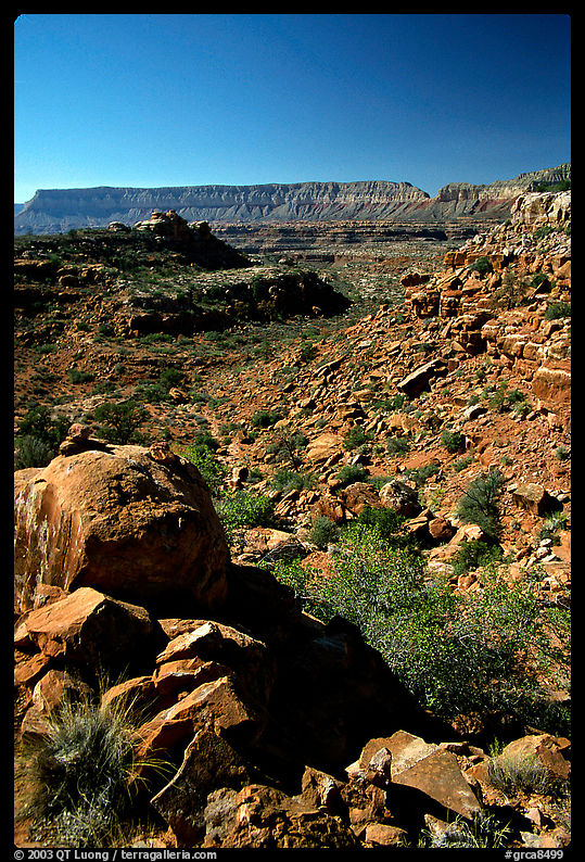 Layers of Supai from  edge of  Esplanade. Grand Canyon  National Park