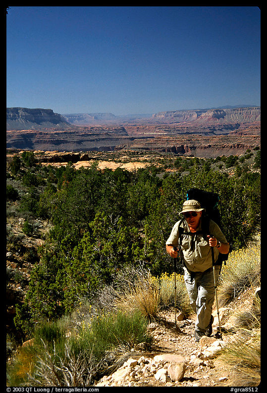 Backpacker on  Esplanade, Thunder River and Deer Creek trail. Grand Canyon  National Park, Arizona, USA.