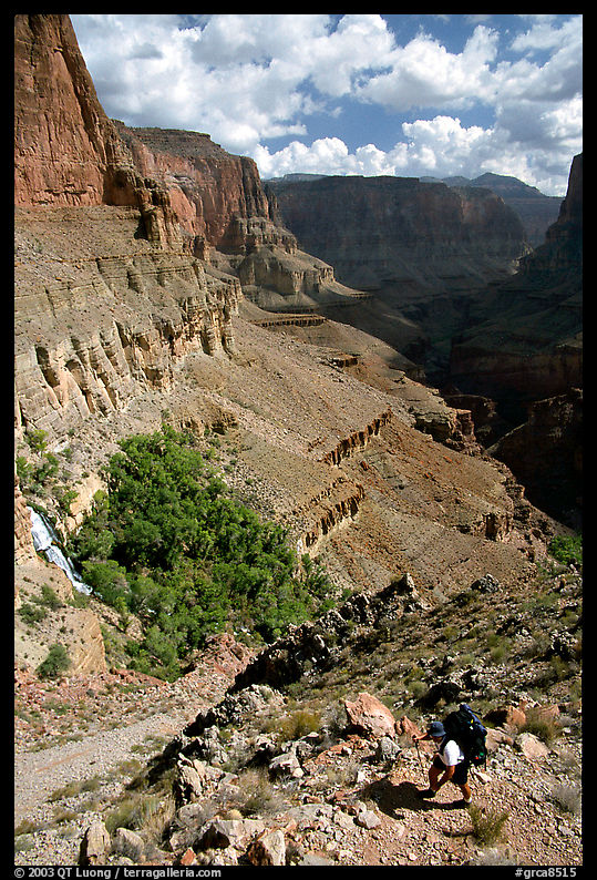 Backpacker on switchbacks above Tapeats Creek. Grand Canyon  National Park, Arizona, USA.