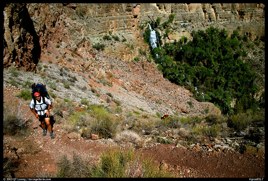 Backpacker above Thunder River Oasis. Grand Canyon  National Park, Arizona, USA.