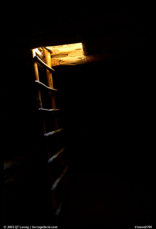 Dark kiva room with Ladder through light opening, Spruce Tree house. Mesa Verde National Park