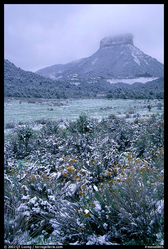 Fresh snow on meadows and mesas near  Park entrance. Mesa Verde National Park, Colorado, USA.