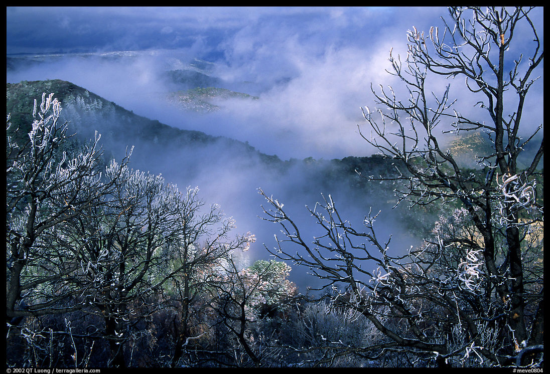 Clearing winter storm on North Rim, morning. Mesa Verde National Park, Colorado, USA.