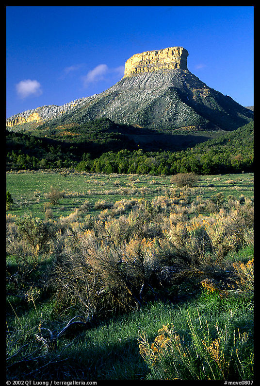 Meadows and mesas near  Park entrance, early morning. Mesa Verde National Park, Colorado, USA.