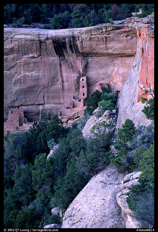 Square Tower house and trees, dusk. Mesa Verde National Park