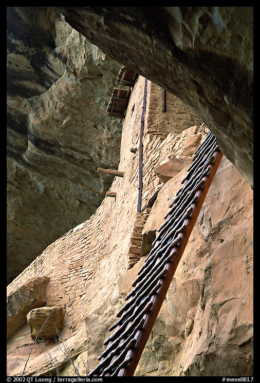 Balcony House ladder, afternoon. Mesa Verde National Park
