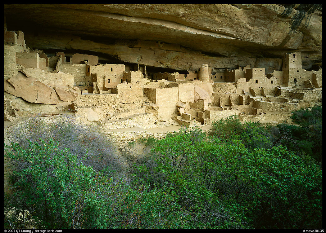 Cliff Palace ruin in rock alcove. Mesa Verde National Park, Colorado, USA.