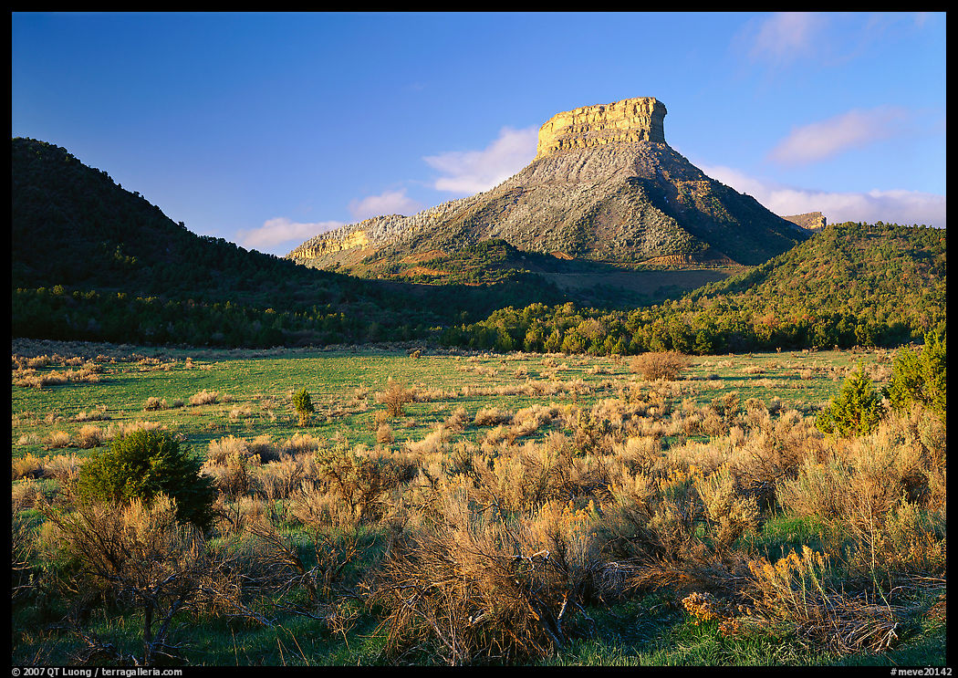 Meadows and mesas near  Park entrance, early morning. Mesa Verde National Park, Colorado, USA.