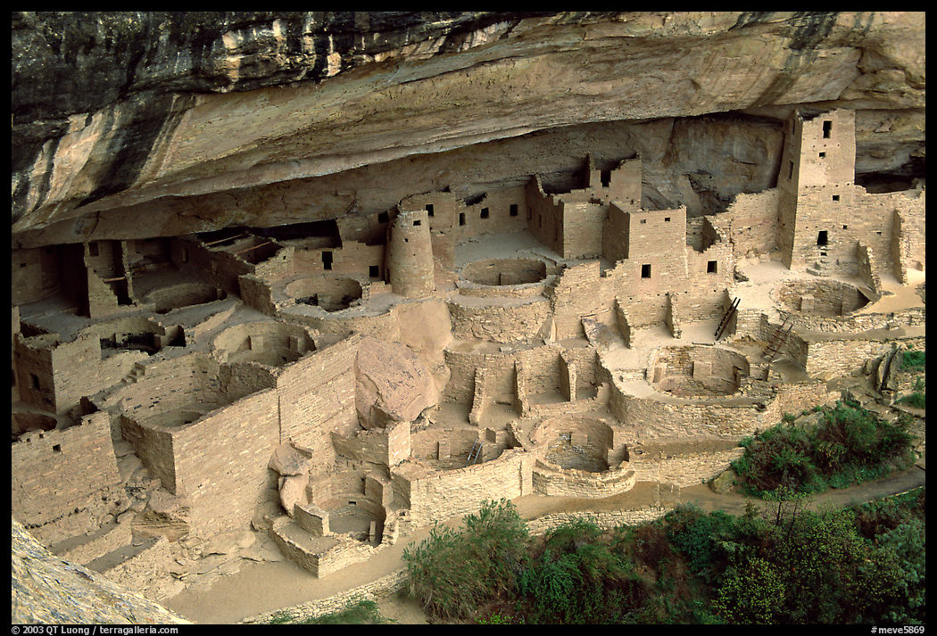 Cliff Palace sheltered by rock overhang. Mesa Verde National Park