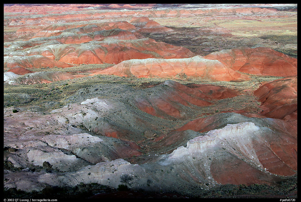 Painted Desert, morning. Petrified Forest National Park, Arizona, USA.