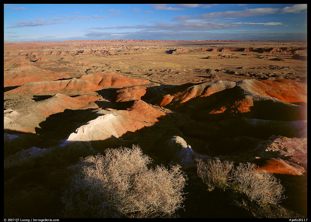 Ridges over badlands of Painted Desert, morning. Petrified Forest National Park, Arizona, USA.