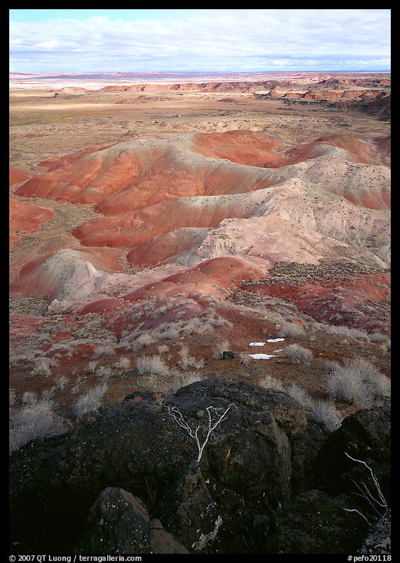 Mud, sandstone and volcanic ash color  painted desert, morning. Petrified Forest National Park, Arizona, USA.