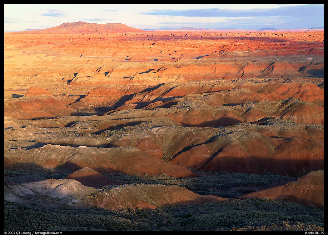 Painted Desert, early morning. Petrified Forest National Park, Arizona, USA.