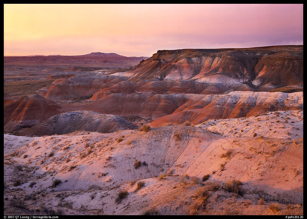 Badlands at sunset, Painted Desert. Petrified Forest National Park, Arizona, USA.