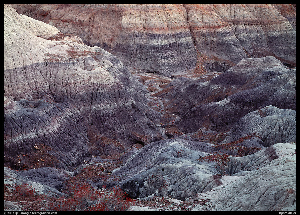 Colorful bentonite badlands, Blue Mesa. Petrified Forest National Park, Arizona, USA.