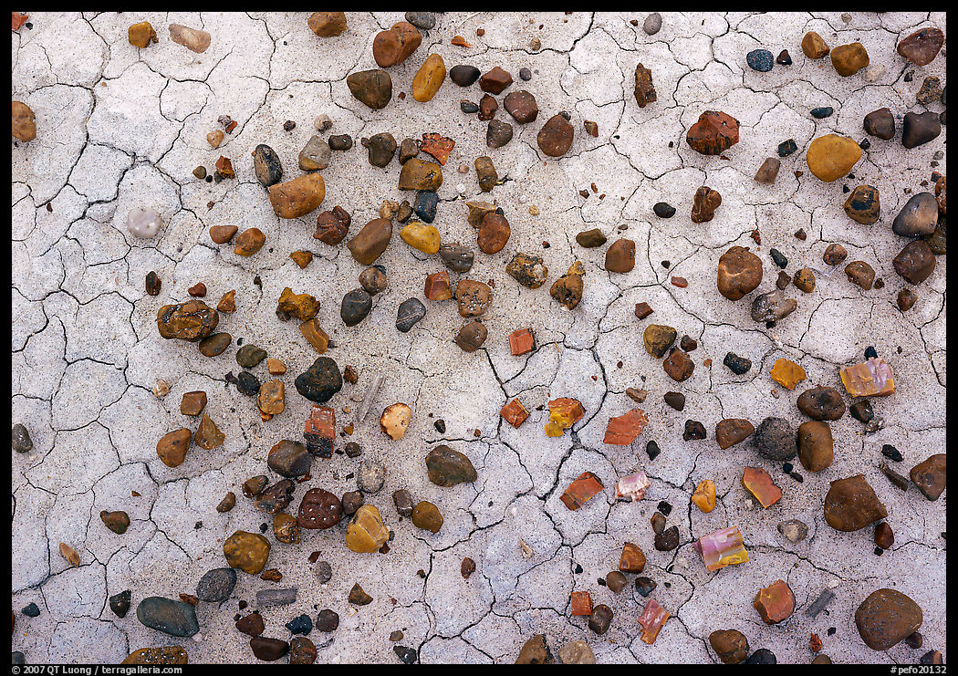 Close-up of mud cracks and colorful stones. Petrified Forest National Park, Arizona, USA.