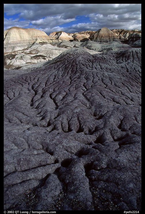 Bentonite and volcanic ash badlands in Blue Mesa, afternoon. Petrified Forest National Park, Arizona, USA.