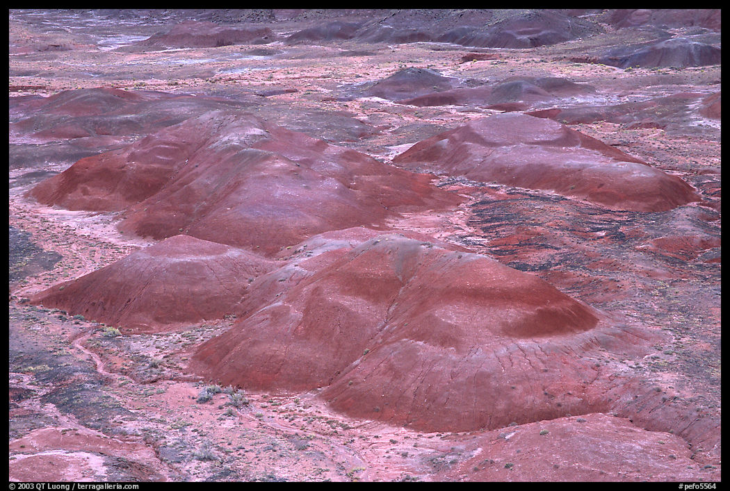 Red hills of  Painted desert seen from Tawa Point. Petrified Forest National Park, Arizona, USA.