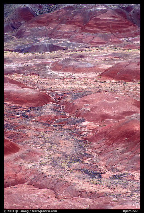 Red hills of  Painted desert seen from Tawa Point. Petrified Forest National Park