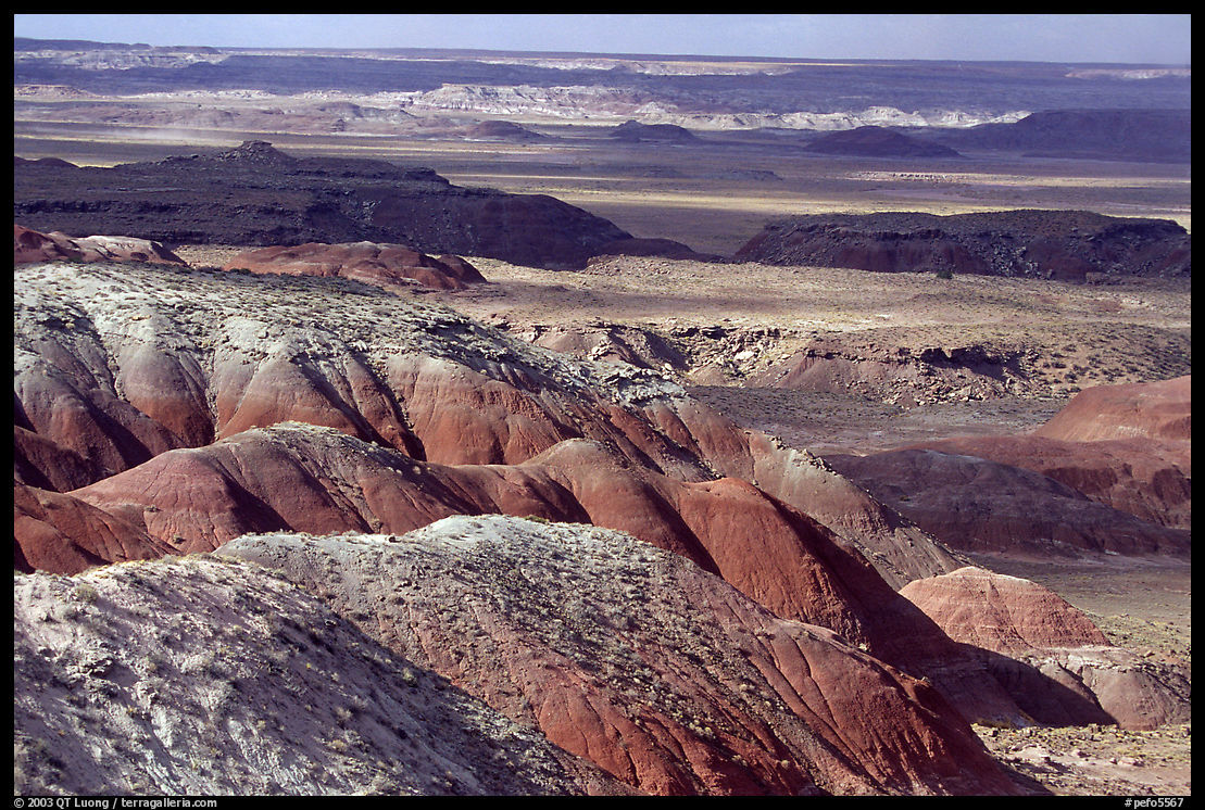 Painted desert seen from Lacey Point, morning. Petrified Forest National Park, Arizona, USA.