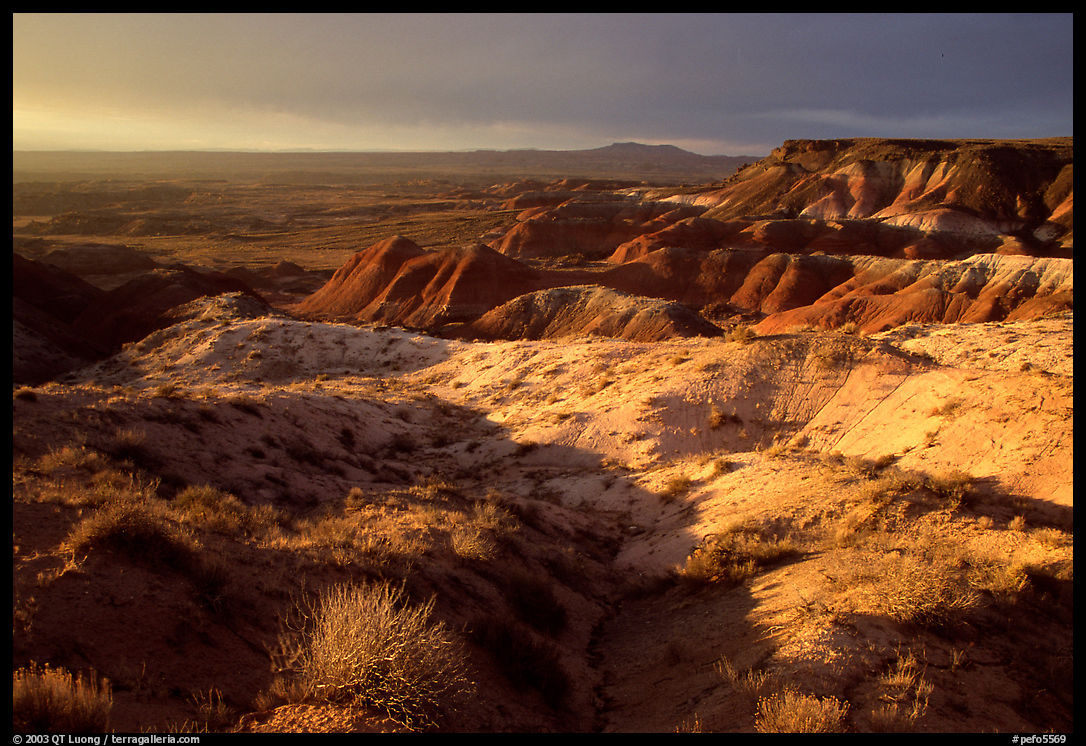 Badlands of  Chinle Formation seen from Whipple Point, stormy sunset. Petrified Forest National Park, Arizona, USA.