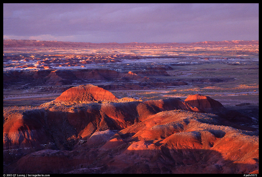 Multi-hued badlands of  Painted desert seen from Chinde Point. Petrified Forest National Park, Arizona, USA.