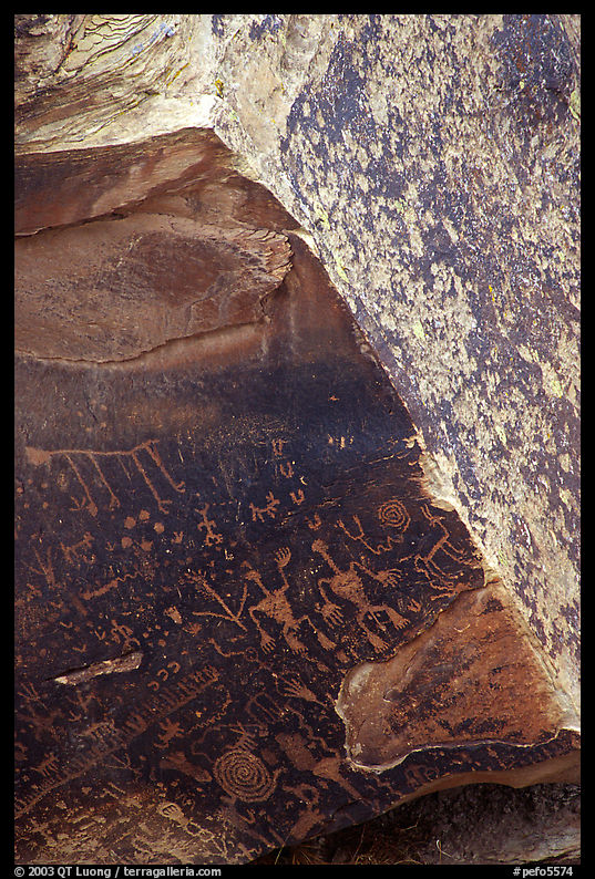 Rock art on Newspaper Rock. Petrified Forest National Park, Arizona, USA.
