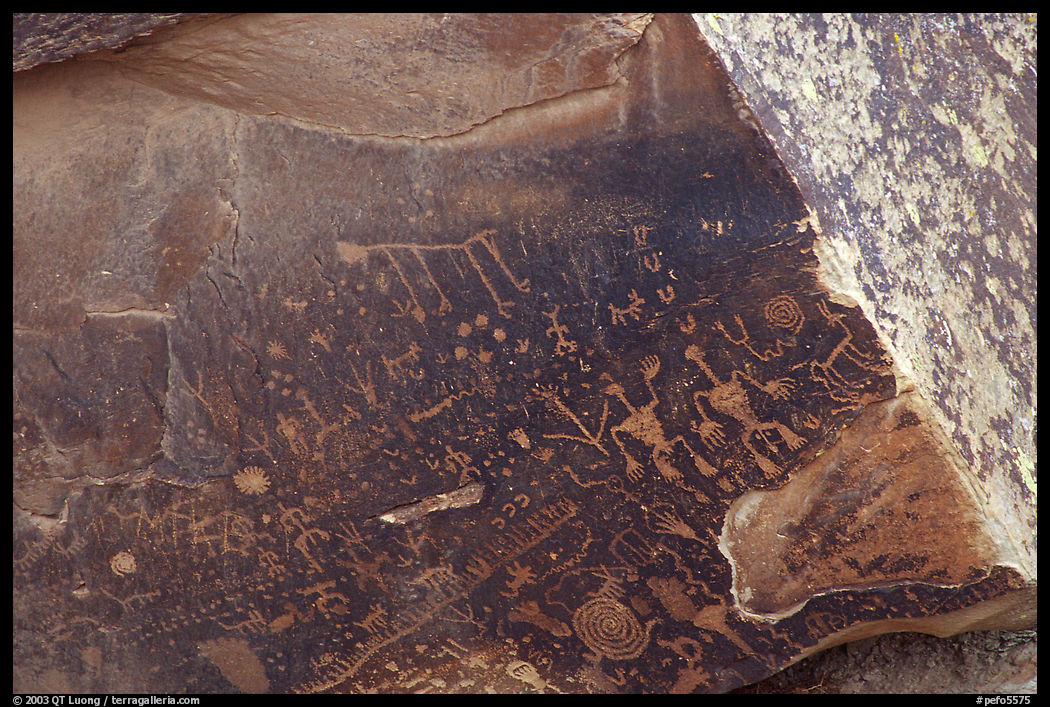 Petroglyphs on Newspaper Rock. Petrified Forest National Park, Arizona, USA.