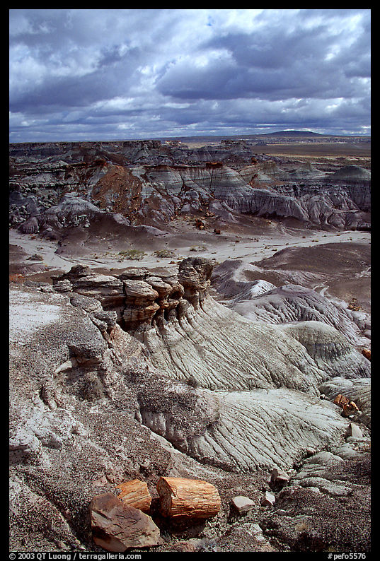 Petrifieds logs and Blue Mesa, mid-day. Petrified Forest National Park, Arizona, USA.