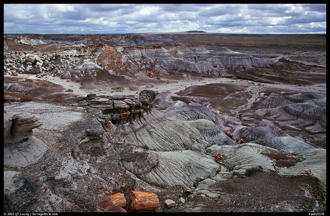 Petrifieds logs and Blue Mesa, mid-day. Petrified Forest National Park, Arizona, USA.