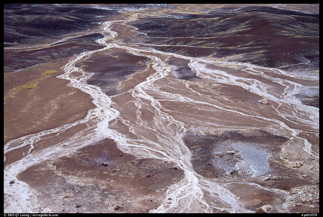 Dendritic drainage patterns, Blue Mesa, mid-day. Petrified Forest National Park, Arizona, USA.