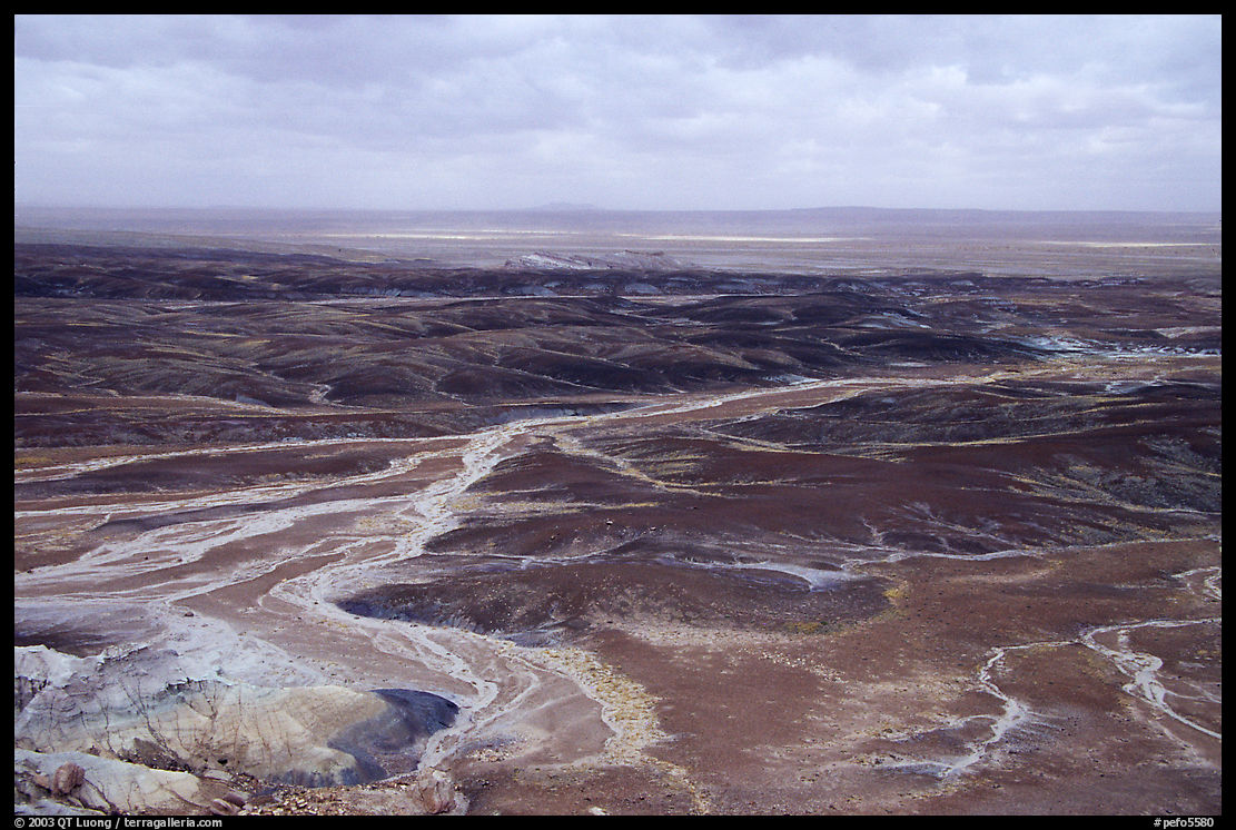 Dendritic drainage patterns, Blue Mesa, mid-day. Petrified Forest National Park, Arizona, USA.