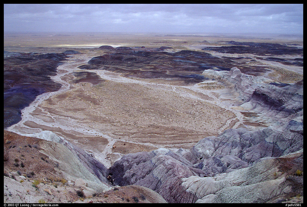 Badlands and Dendritic drainage patterns, Blue Mesa, mid-day. Petrified Forest National Park, Arizona, USA.