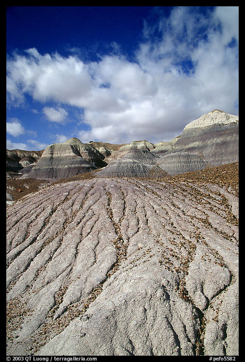 Eroded badlands of  Chinle Formationon, Blue Mesa. Petrified Forest National Park, Arizona, USA.