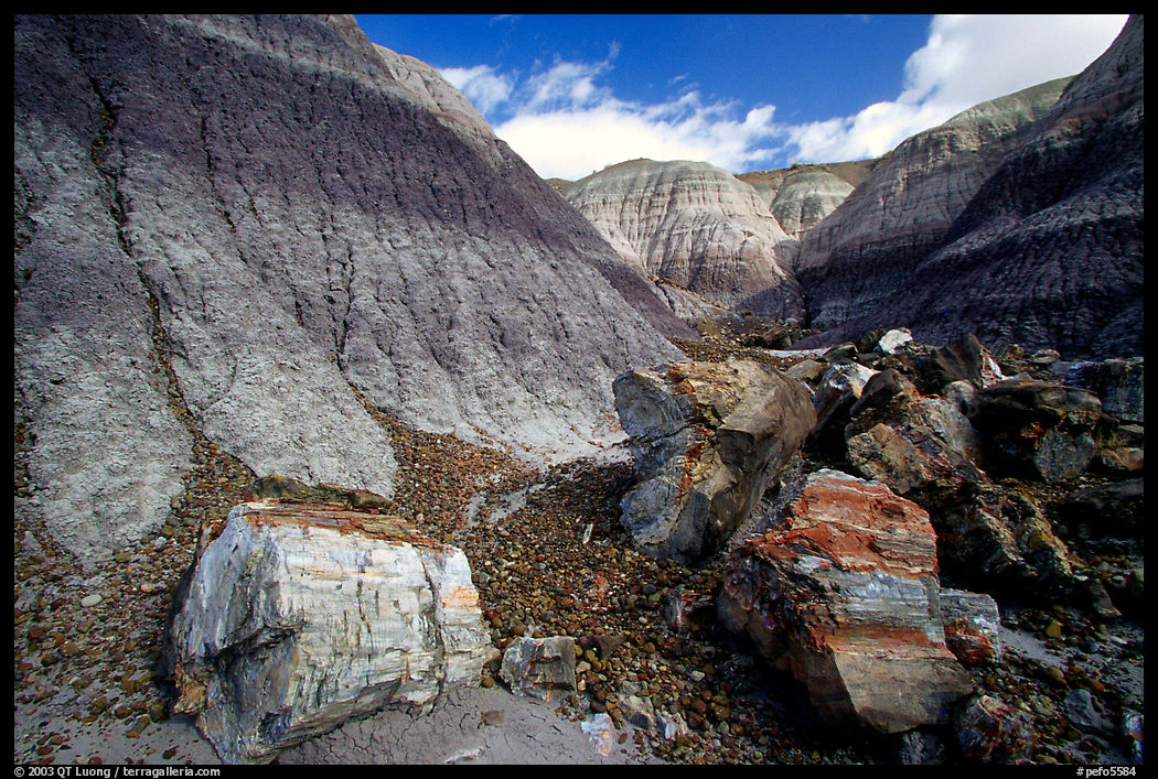 Colorful petrifieds logs in Blue Mesa, afternoon. Petrified Forest National Park, Arizona, USA.