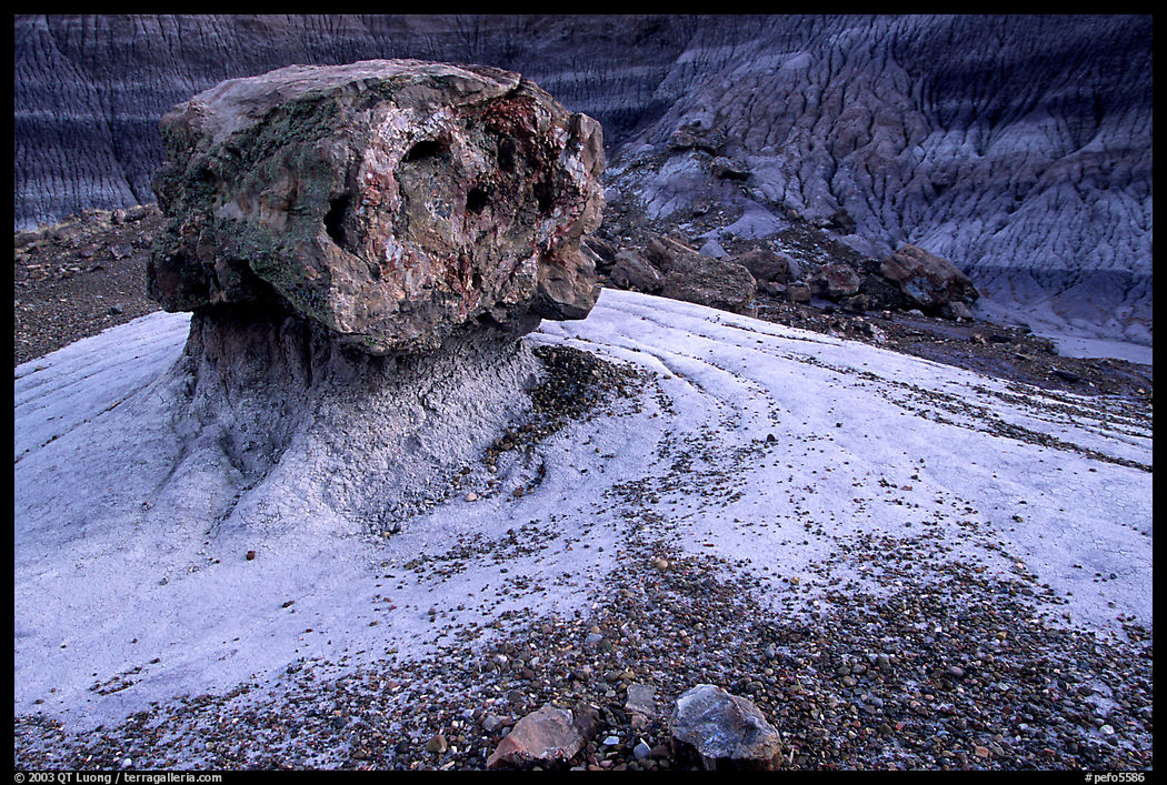 Pedestal petrified log in Blue Mesa, afternoon. Petrified Forest National Park, Arizona, USA.