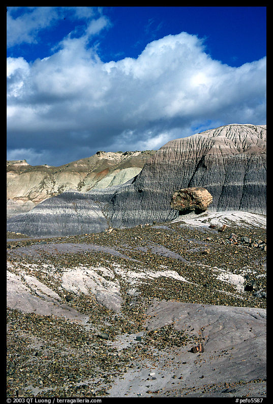 Blue Mesa badlands and pedestal fossilized log, afternoon. Petrified Forest National Park, Arizona, USA.