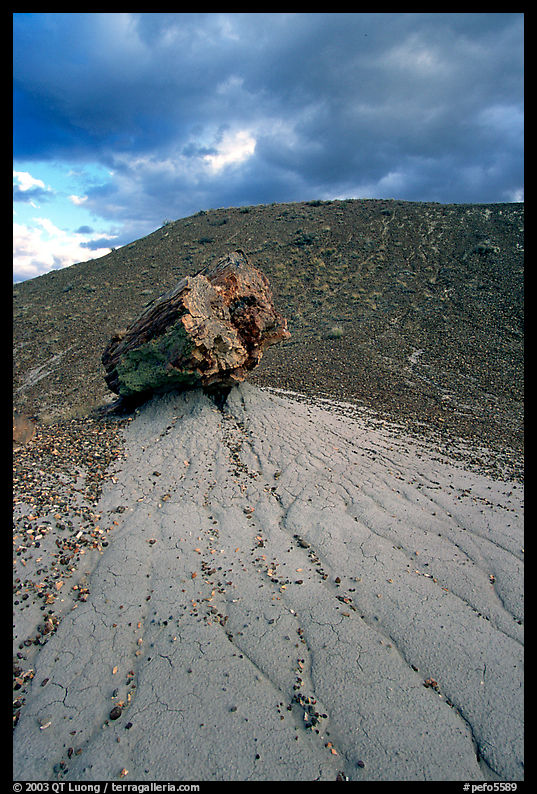 Pedestal petrified log in Blue Mesa, afternoon. Petrified Forest National Park, Arizona, USA.