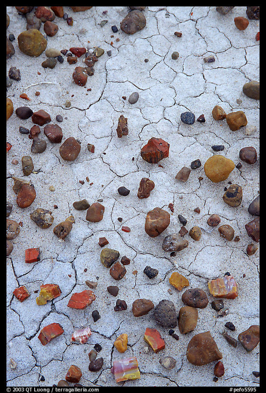 Close up of small pieces of petrified wood and clay pattersn. Petrified Forest National Park, Arizona, USA.