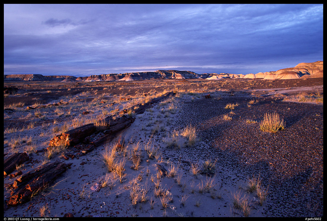 Last light, Long Logs area, sunset. Petrified Forest National Park, Arizona, USA.