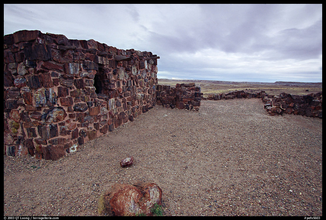 Agate House, reconstitution of native house made of petrified wood. Petrified Forest National Park, Arizona, USA.