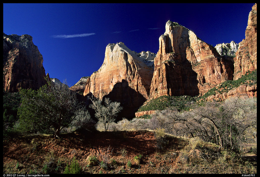 Court of the Patriarchs sandstone towers, morning. Zion National Park, Utah, USA.